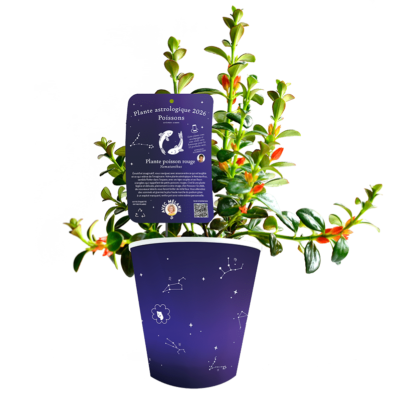 Poisson-poisson-rouge