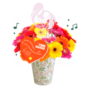 Gerbera