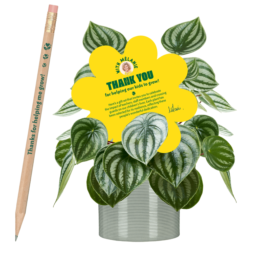 peperomia-thank-you-2025