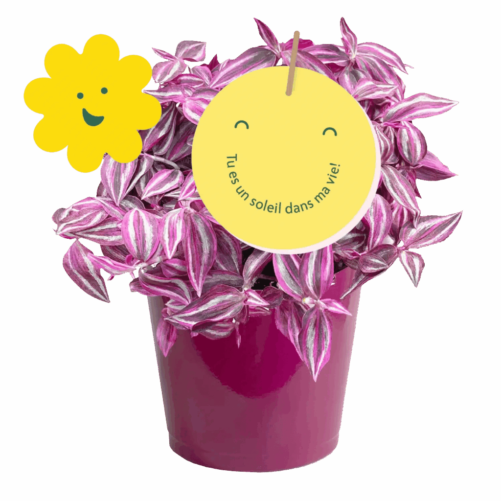 journee-de-la-femme-avec-melanie