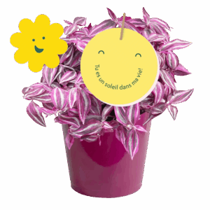 journee-de-la-femme-avec-melanie