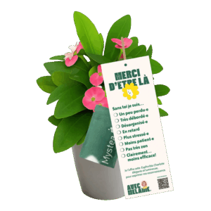 personnel-de-soutien