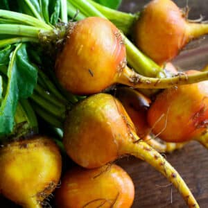 Création sans titre – Betterave Touchstone Gold (Beta Vulgaris)