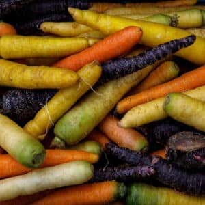 Création sans titre – Carotte en mélange