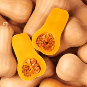 courge-butternut-terre-promise