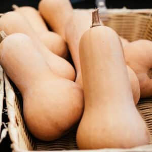 courge-butternut-waltham