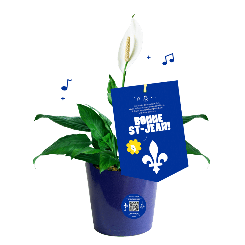 plante-st-jean-baptiste-avec-melanie