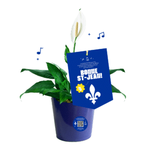 plante-st-jean-baptiste-avec-melanie