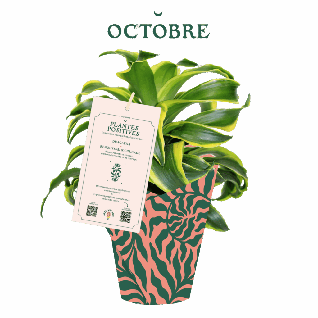 AM_PP_10-octobre