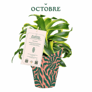 AM_PP_10-octobre