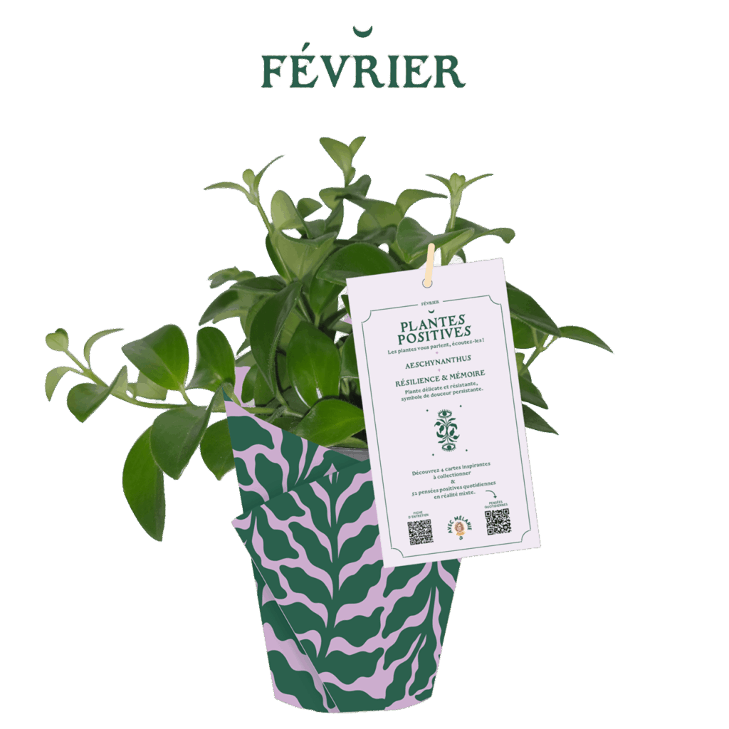 AM_PP_2-fevrier