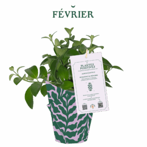 AM_PP_2-fevrier