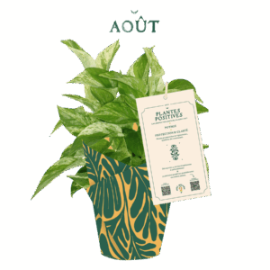 AM_PP_8-aout