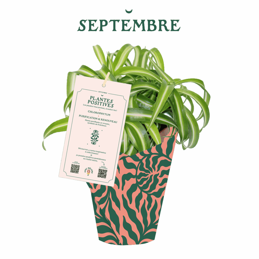 AM_PP_9-septembre