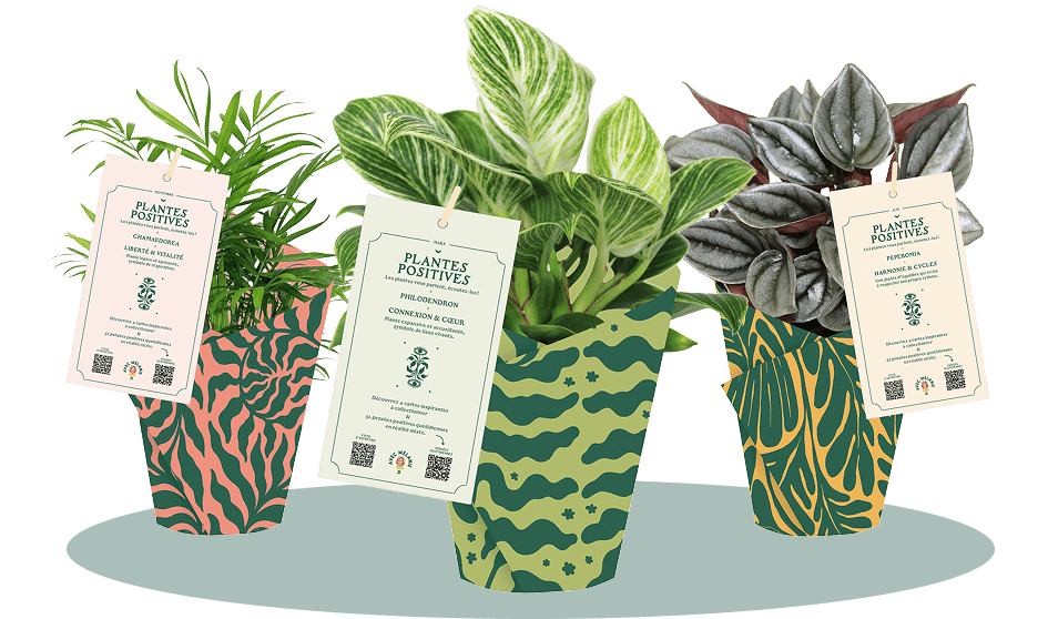 les-plantes-positives