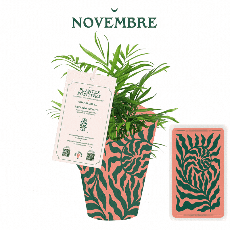 plante_carte_flip_800px